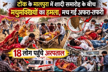Rajasthan Wedding Incident