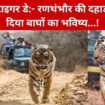 Global Tiger Day