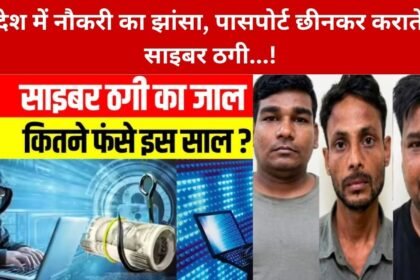 International Cyber Fraud Gang Busted