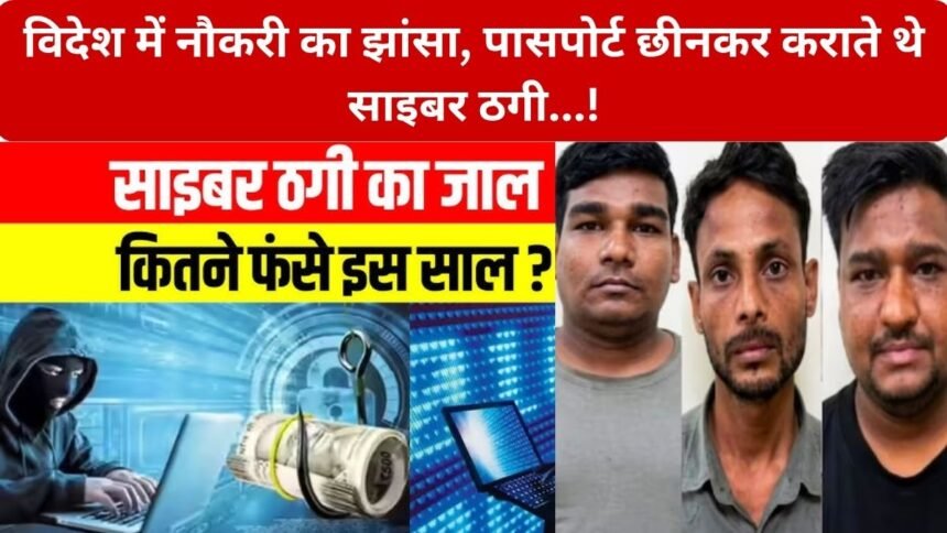 International Cyber Fraud Gang Busted