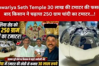 Sanwariya Seth Temple Rajasthan