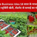 Rajasthan Agriculture Business Idea